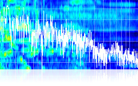 FFT and spectrogram display